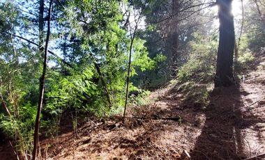 PARCELA  RUTA 146, VILLA ROMA SECTOR CRUCE AGUA DE LA GLORIA