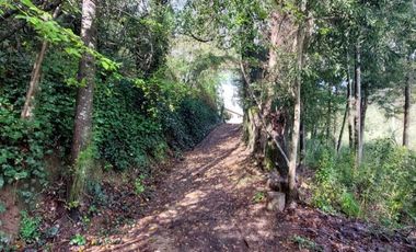 PARCELA  RUTA 146, VILLA ROMA SECTOR CRUCE AGUA DE LA GLORIA