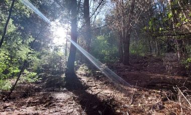 PARCELA  RUTA 146, VILLA ROMA SECTOR CRUCE AGUA DE LA GLORIA