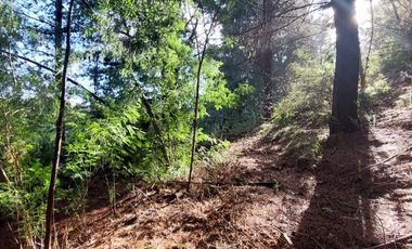 PARCELA  RUTA 146, VILLA ROMA SECTOR CRUCE AGUA DE LA GLORIA