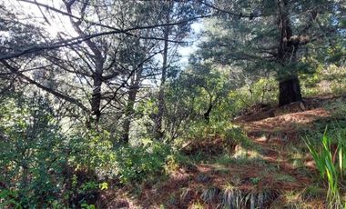 PARCELA  RUTA 146, VILLA ROMA SECTOR CRUCE AGUA DE LA GLORIA