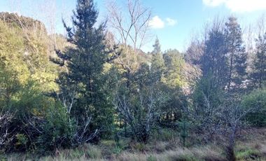 PARCELA  RUTA 146, VILLA ROMA SECTOR CRUCE AGUA DE LA GLORIA