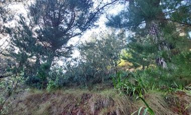 PARCELA  RUTA 146, VILLA ROMA SECTOR CRUCE AGUA DE LA GLORIA