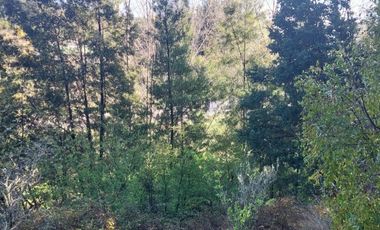 PARCELA  RUTA 146, VILLA ROMA SECTOR CRUCE AGUA DE LA GLORIA