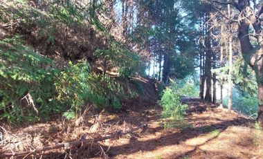 PARCELA  RUTA 146, VILLA ROMA SECTOR CRUCE AGUA DE LA GLORIA