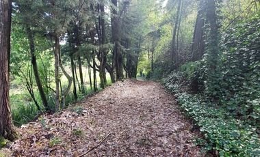 PARCELA  RUTA 146, VILLA ROMA SECTOR CRUCE AGUA DE LA GLORIA