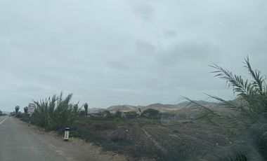 Terreno a la Venta en Cerro Azul - Los Lobos