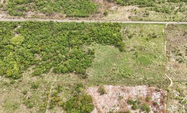 Terreno en VENTA en Euan, Tixkokob Yucatán
