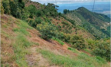 Venta Finca en Pijao. Quindío - Colombia COD: 9360612