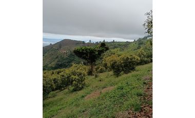 Venta Finca en Pijao. Quindío - Colombia COD: 9360612