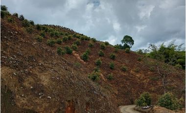 Venta Finca en Pijao. Quindío - Colombia COD: 9360612