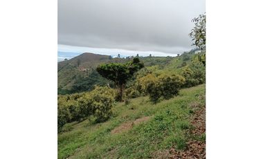 Venta Finca en Pijao. Quindío - Colombia COD: 9360612