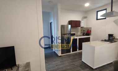 DEPARTAMENTOS AMUEBLADOS EN RENTA EN ZONA CENTRO