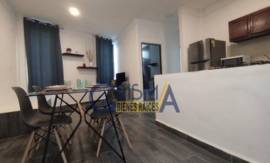 DEPARTAMENTOS AMUEBLADOS EN RENTA EN ZONA CENTRO