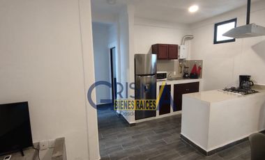 DEPARTAMENTOS AMUEBLADOS EN RENTA EN ZONA CENTRO