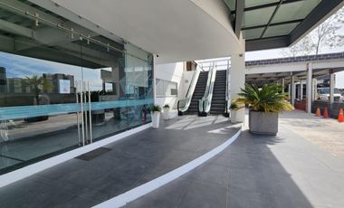 Oficina en Juriquilla Torre