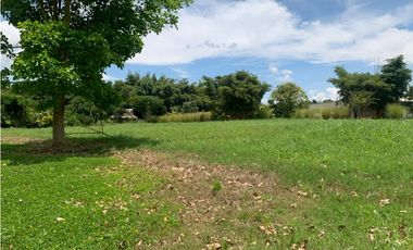 SE VENDE LOTE EN EL SECTOR DE CERRITOS COD 5516883