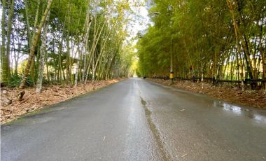 Venta Lote Parcelacion Llanogrande