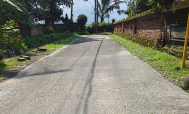 TANAH PINGGIR JALAN UTAMA  VIEW SAWAH & POHON KELAPA DI BLAHKIUH