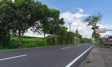 TANAH PINGGIR JALAN UTAMA  VIEW SAWAH & POHON KELAPA DI BLAHKIUH
