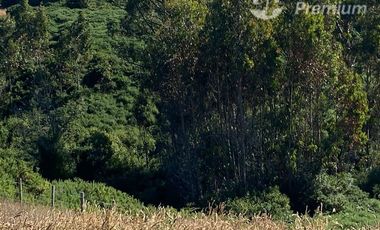Parcela en Venta en Quilquico camino rilan