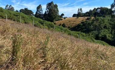 Parcela en Venta en Quilquico camino rilan