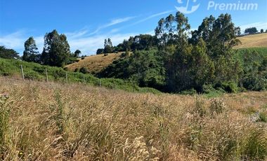 Parcela en Venta en Quilquico camino rilan