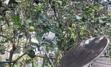 Dekat pusat Kuliner , Komplek Guru Sukasari Bogor