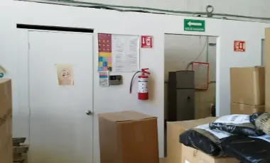 BODEGA EN SANCTORUM