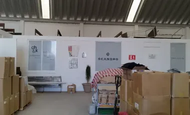 BODEGA EN SANCTORUM