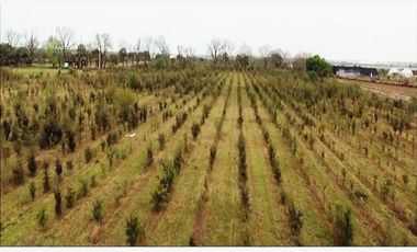 Finca-Rancho en Remate en Cadereyta Jimenez Centro, Cadereyta Jiménez, Nuevo León