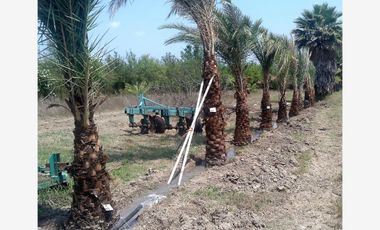 Finca-Rancho en Remate en Cadereyta Jimenez Centro, Cadereyta Jiménez, Nuevo León