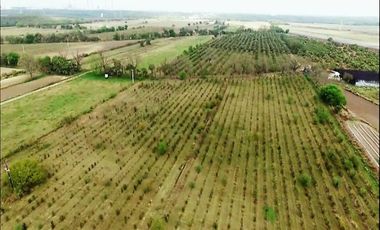 Finca-Rancho en Remate en Cadereyta Jimenez Centro, Cadereyta Jiménez, Nuevo León