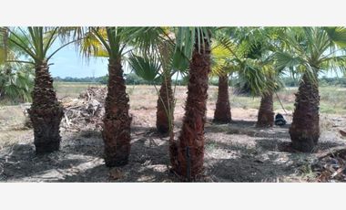 Finca-Rancho en Remate en Cadereyta Jimenez Centro, Cadereyta Jiménez, Nuevo León