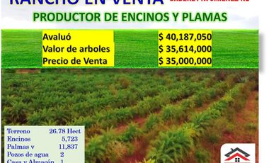 Finca-Rancho en Remate en Cadereyta Jimenez Centro, Cadereyta Jiménez, Nuevo León