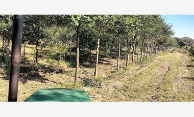 Finca-Rancho en Remate en Cadereyta Jimenez Centro, Cadereyta Jiménez, Nuevo León
