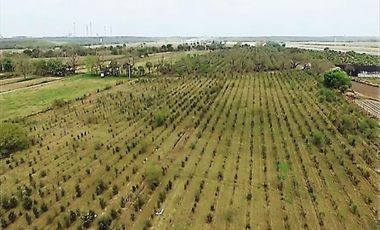Finca-Rancho en Remate en Cadereyta Jimenez Centro, Cadereyta Jiménez, Nuevo León