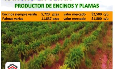 Finca-Rancho en Remate en Cadereyta Jimenez Centro, Cadereyta Jiménez, Nuevo León