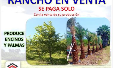 Finca-Rancho en Remate en Cadereyta Jimenez Centro, Cadereyta Jiménez, Nuevo León