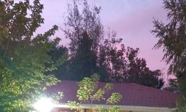 Cancha de Almendro  -  Coltauco