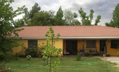 Cancha de Almendro  -  Coltauco