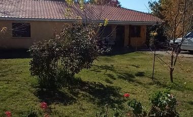 Cancha de Almendro  -  Coltauco