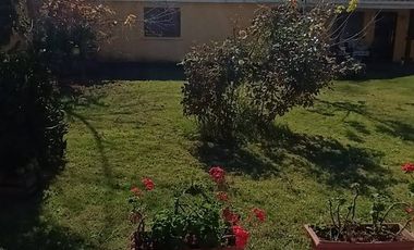 Cancha de Almendro  -  Coltauco