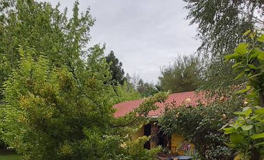 Cancha de Almendro  -  Coltauco