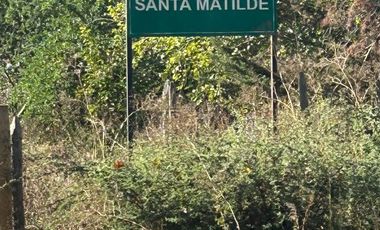 El Huique, Sector Santa Amalia