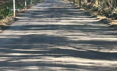 El Huique, Sector Santa Amalia