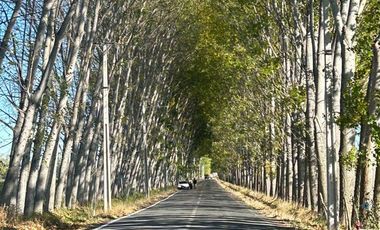 El Huique, Sector Santa Amalia