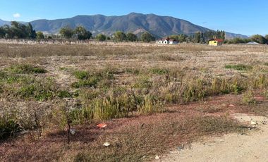 El Huique, Sector Santa Amalia