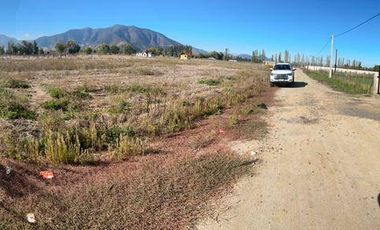 El Huique, Sector Santa Amalia