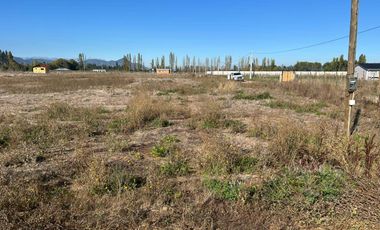 El Huique, Sector Santa Amalia